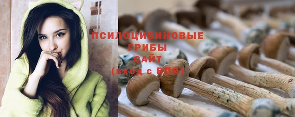 дурь Усмань