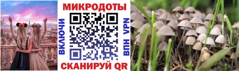 omg рабочий сайт  Владикавказ  Галлюциногенные грибы MAGIC MUSHROOMS 